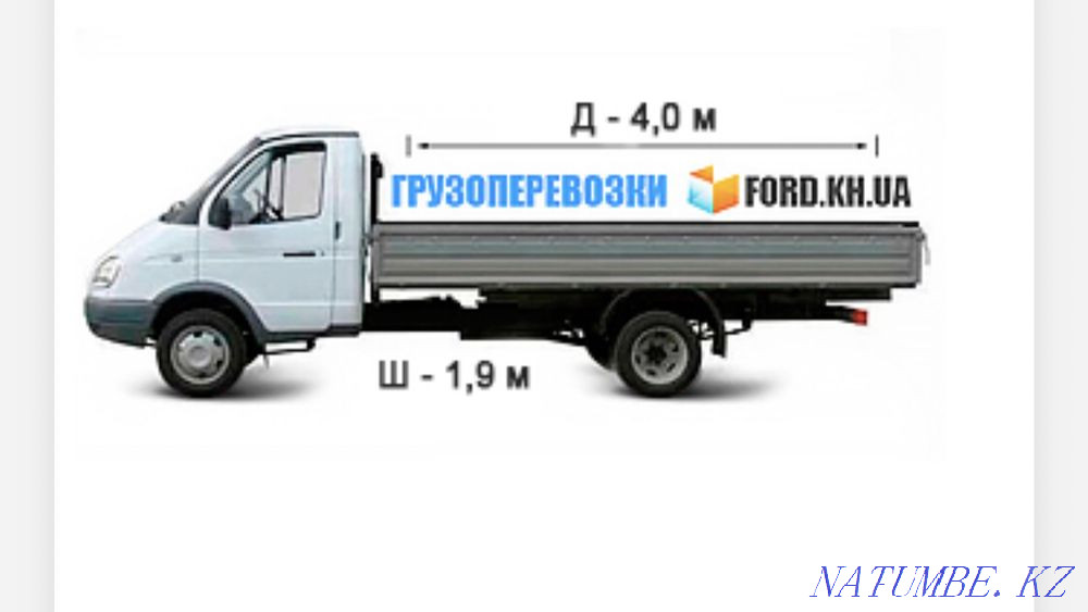 Ашық қарақұйрық. Кез келген тұраққа тіркелу. Қоқыс шығару  Астана - изображение 1