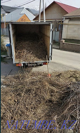 Garbage removal for. Dump movers trash branches Kostanay - photo 1