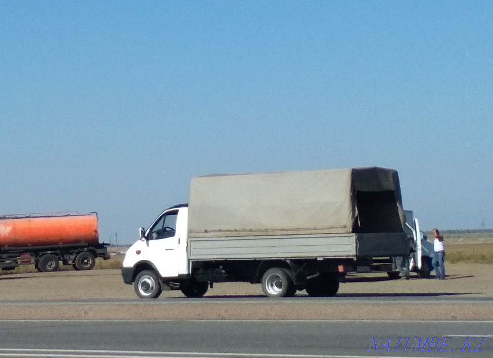 Gazelle carriage Kokshetau - photo 1
