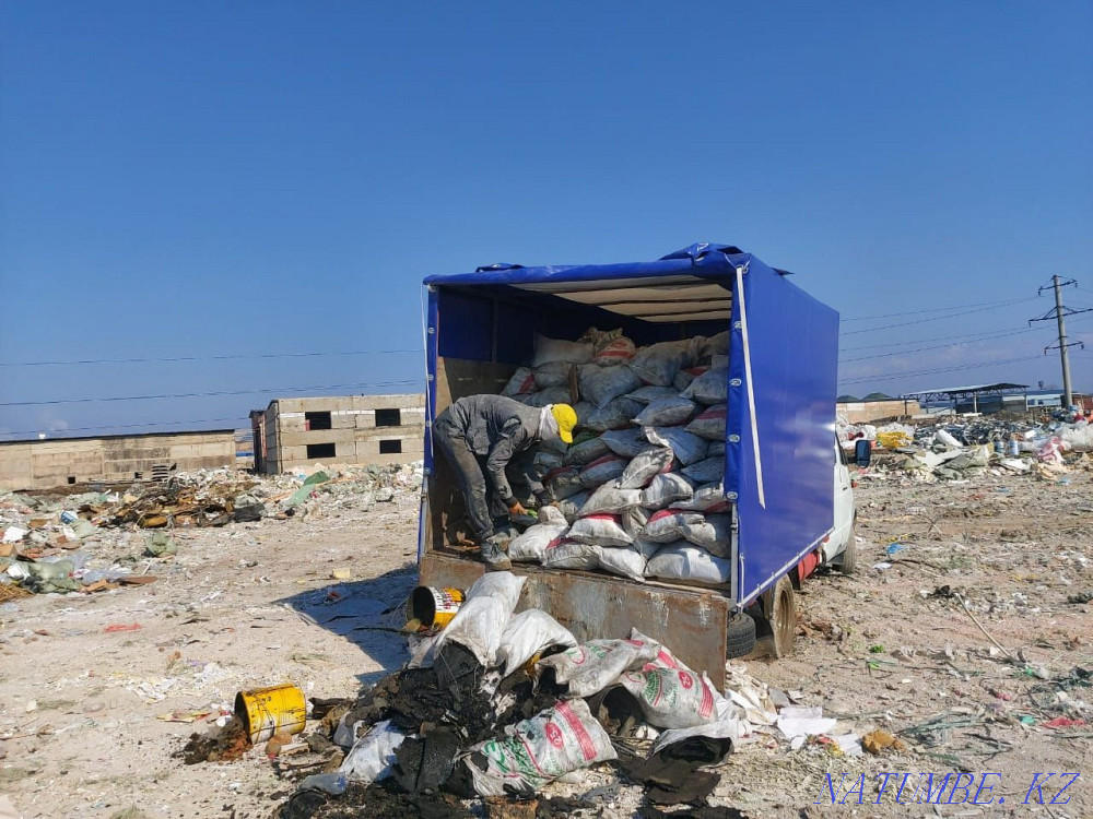 Gazelle with or without movers. Price is negotiable Almaty - photo 1