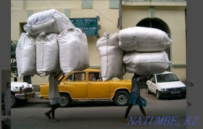 ҚОҚЫСТЫ ТАЗАЛАУ. Тазалау. Жүк тасымалдау. Жүк тиегіштер. Бөлшектеу. Қозғалыс.  Алматы - изображение 4