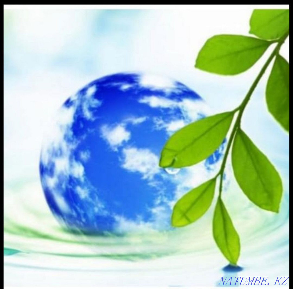 Cleaning of apartments and other premises! Astana - photo 1