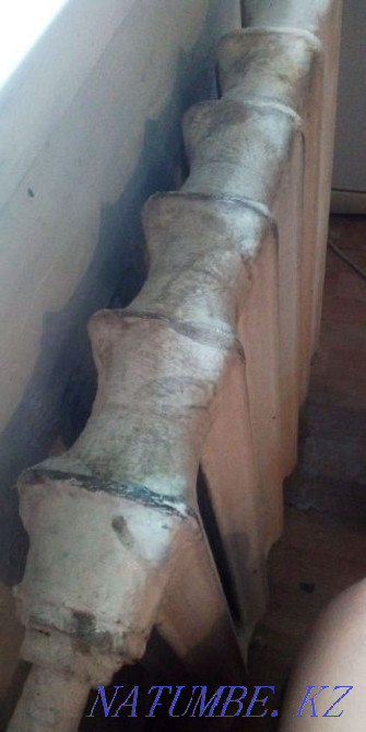 Тазалау Karcher компаниясының бу генераторымен кәсіби жалпы тазалау  Алматы - изображение 6