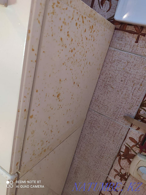 Cleaning of apartments, houses, premises, offices, cottages Karagandy - photo 2