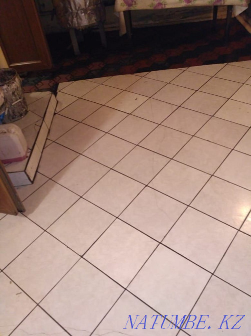 Cleaning up after a flood Karagandy - photo 8