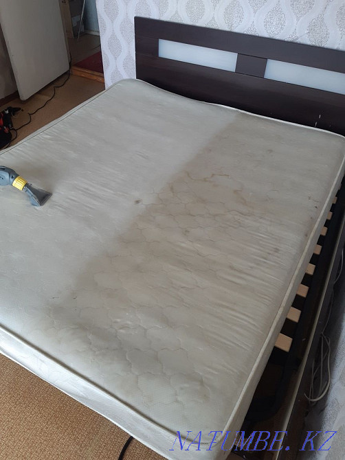 Аренда моющего пылесоса Караганда - изображение 7