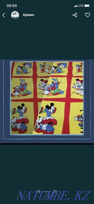 Кілемдер мен жұмсақ жиһаздарды кәсіби тазалау  - изображение 4