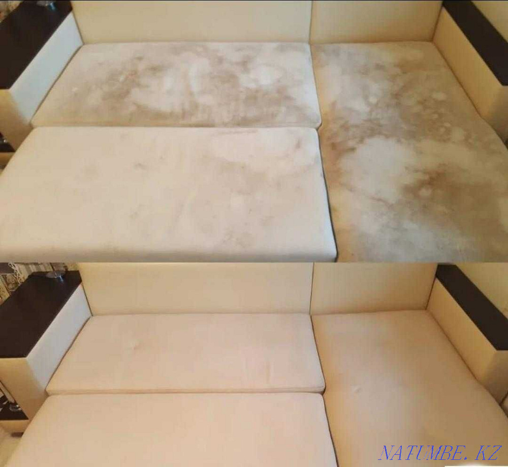 Dry cleaning of upholstered furniture and carpets Oral - photo 4
