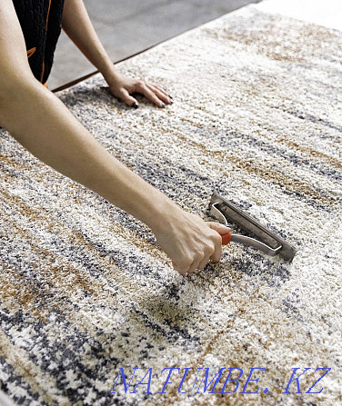Professional carpet washing Rudnyy - photo 3