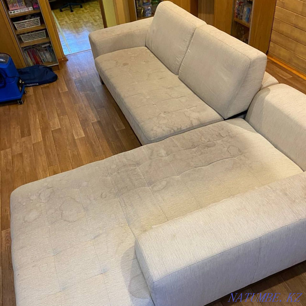 ECO sofa cleaning. Professional Equipment German Almaty - photo 3