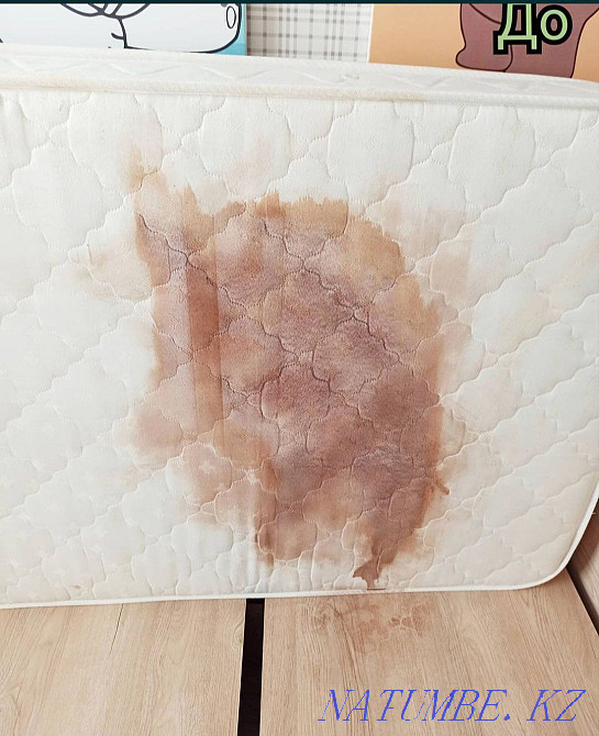 Dry cleaning of sofas chairs cleaning of sofa mattresses by a specialist Almaty - photo 1