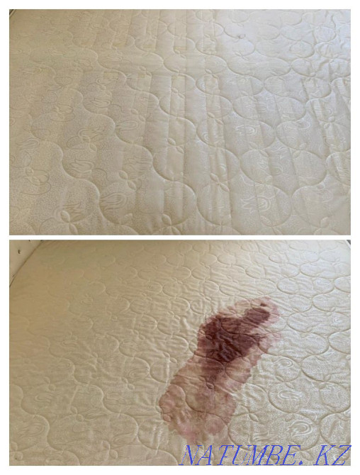 Жиһазды химиялық тазалау және жиһазды тазалау  Алматы - изображение 5