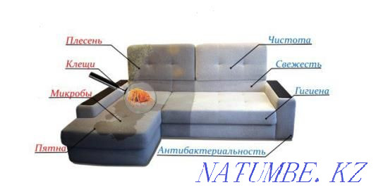 Dry cleaning of furniture and carpets Almaty - photo 5