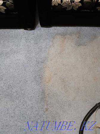 Аренда моющего пылесоса для химчистки мебели Караганда - изображение 7