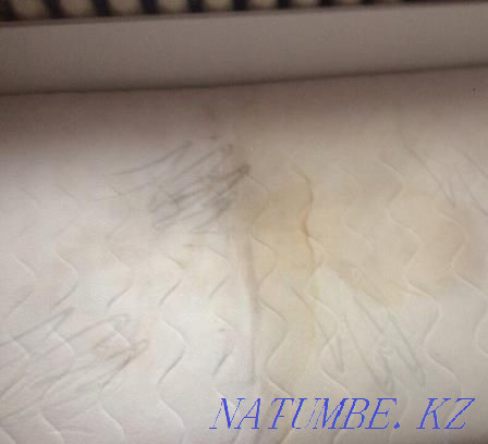 Химчистка диванов, ковров, авто Алматы - изображение 3