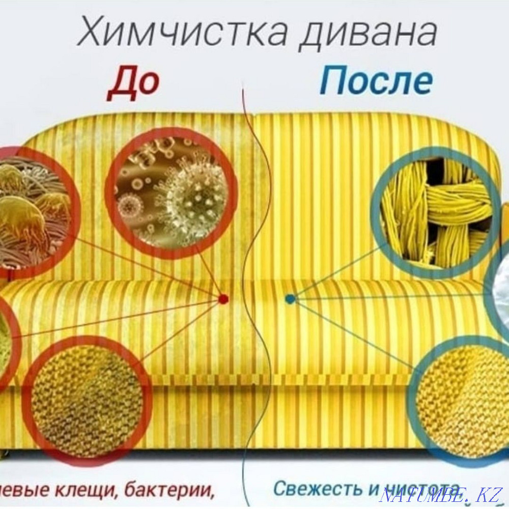 Аренда моющего пылесоса K?rcher Алматы - изображение 4