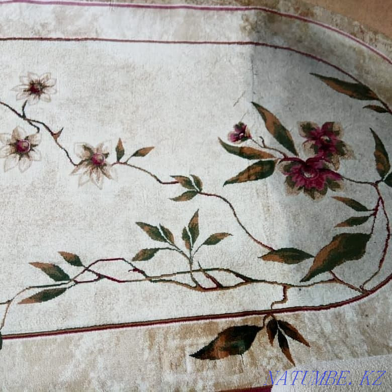 Dry cleaning of upholstered furniture carpets KARCHER Semey - photo 4