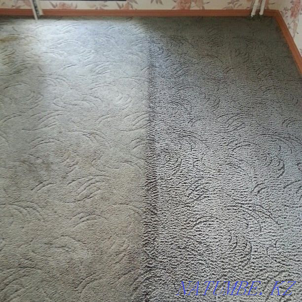 Dry cleaning of upholstered furniture carpets KARCHER Semey - photo 5