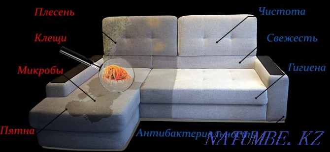 Promotion for dry cleaning of upholstered furniture sofas carpets mattresses Astana - photo 4