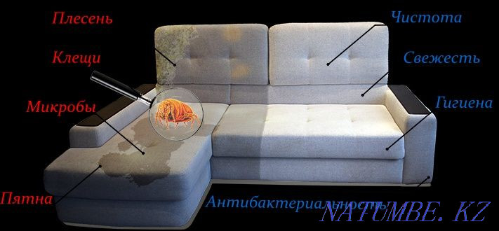 Акция на химчистку мягкой мебели диванов ковров матрасов Астана - изображение 4