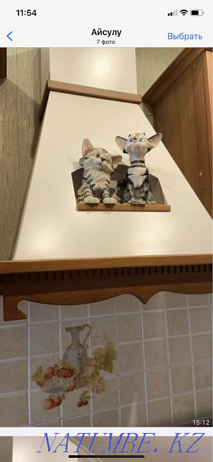 Уборка домов и катедж Алматы - изображение 6