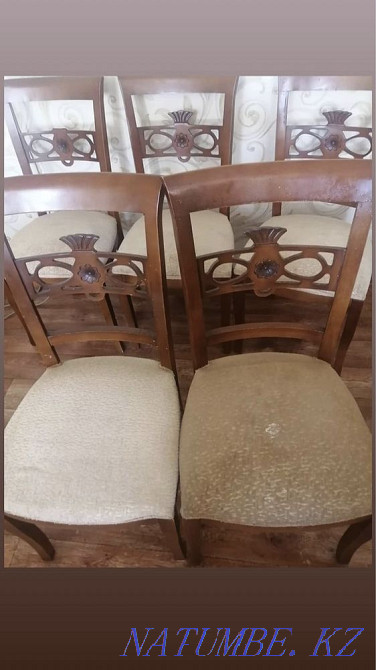 Химчистка, аренда моющий пьелесос  - изображение 2