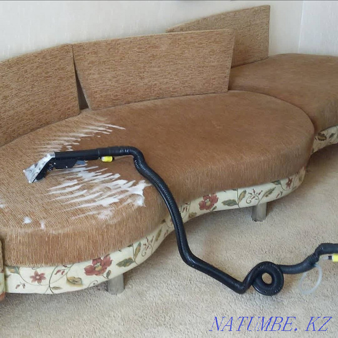 Upholstered furniture cleaning Oral - photo 1
