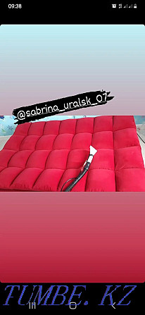 Upholstered furniture cleaning Oral - photo 4