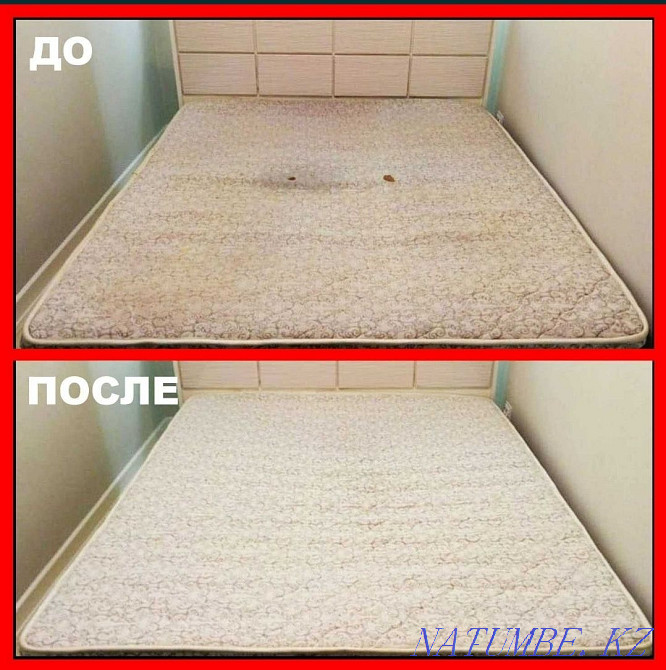 Моющий пылесос, аренда,прокат  - изображение 6