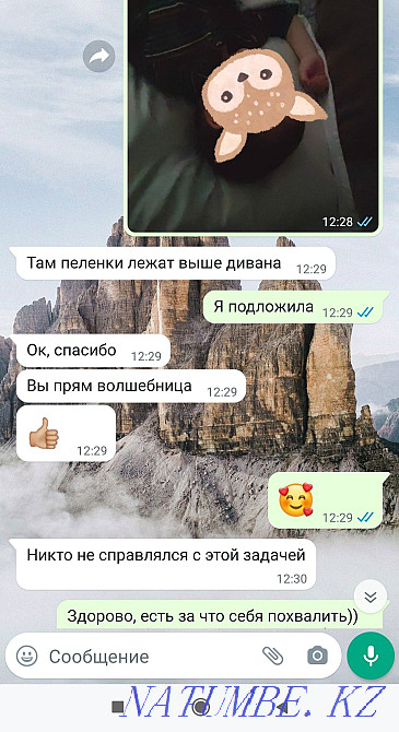 Babysitter for an hour. Baby sitter. Almaty - photo 2