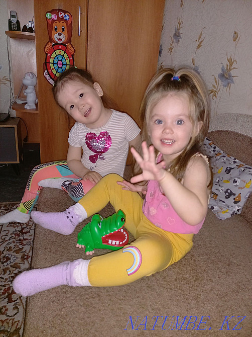 Домашние ясеоьки Костанай - изображение 5