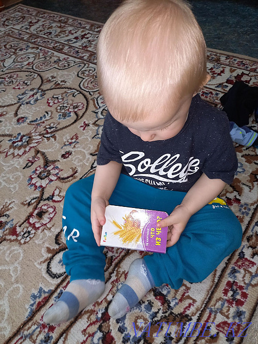 Домашние ясеоьки Костанай - изображение 2