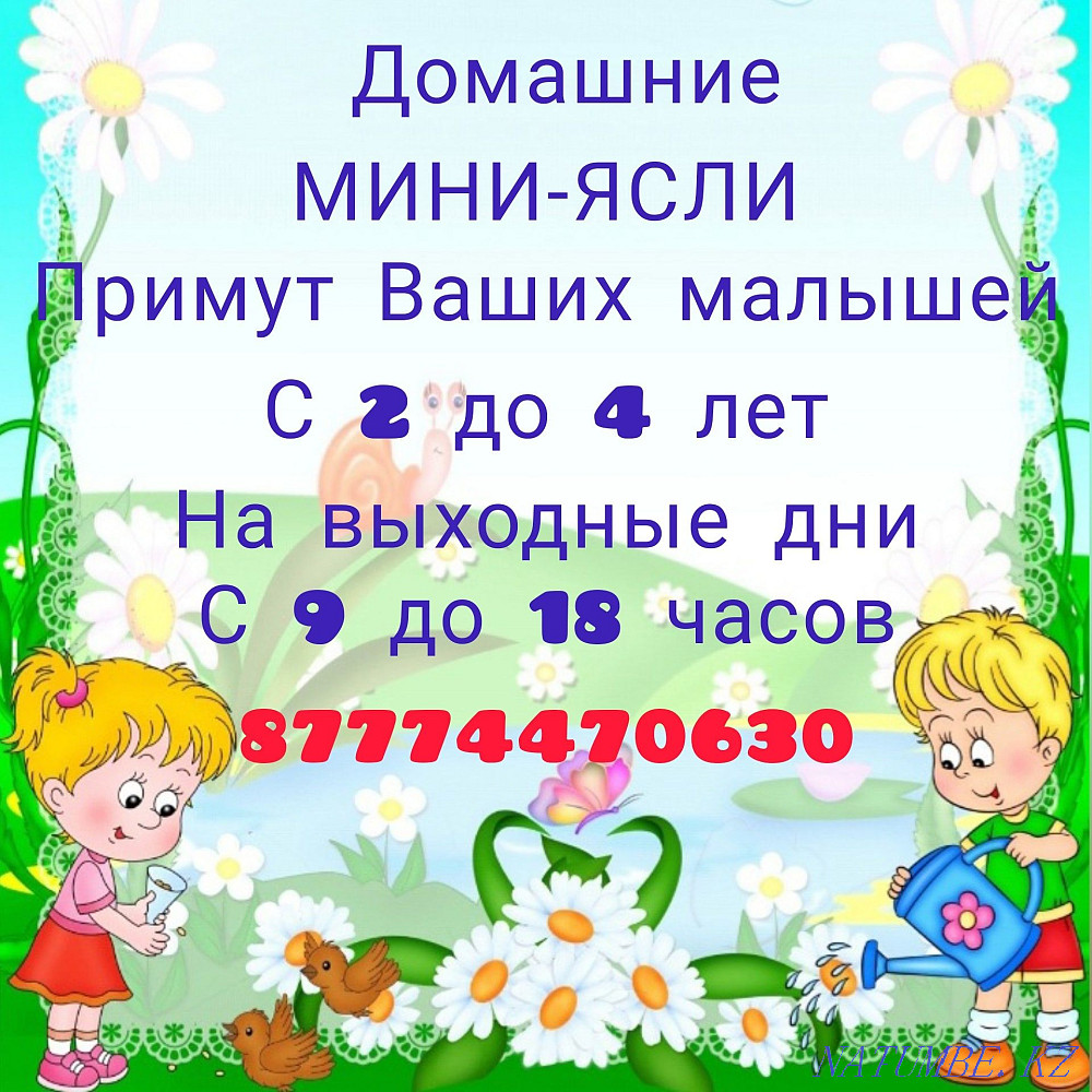 Домашние ясеоьки Костанай - изображение 1