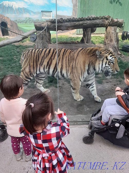 Nanny at home"Charming" Almaty - photo 5