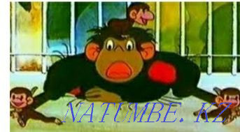 Nanny by the hour, for the night, for the day with a medical education! Petropavlovsk - photo 1