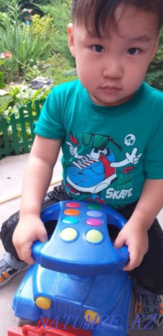 Үйде күтуші.Шағын бақ.Демалыс күні жоқ.  Алматы - изображение 5