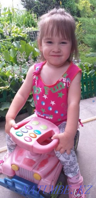 Үйде күтуші.Шағын бақ.Демалыс күні жоқ.  Алматы - изображение 1