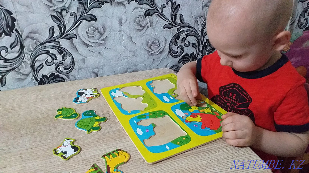 Үйде күтуші.Шағын бақ.Демалыс күні жоқ.  Алматы - изображение 8