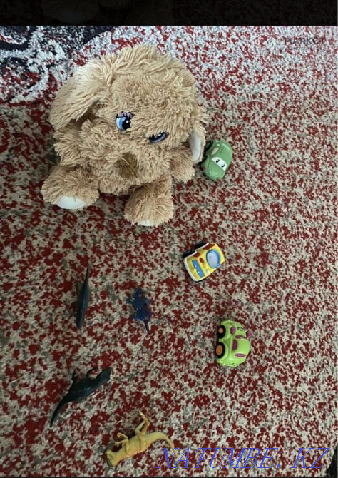 Үйде күтуші  Астана - изображение 2