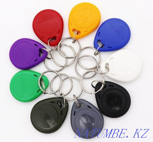 Universal key -1500tg. Duplicate intercom key - 1000tg. Oral - photo 2