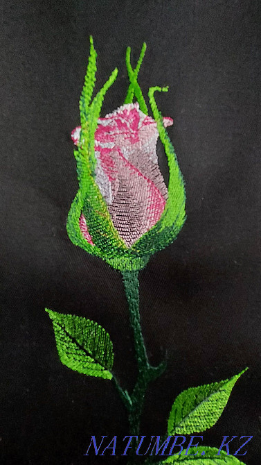 Embroidery of logos, chevrons Astana - photo 8