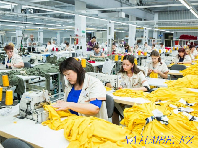 Sewing shop, tailoring, tailoring, bomber jackets, hoodies, sweatshirts, sweatshirts Almaty - photo 1