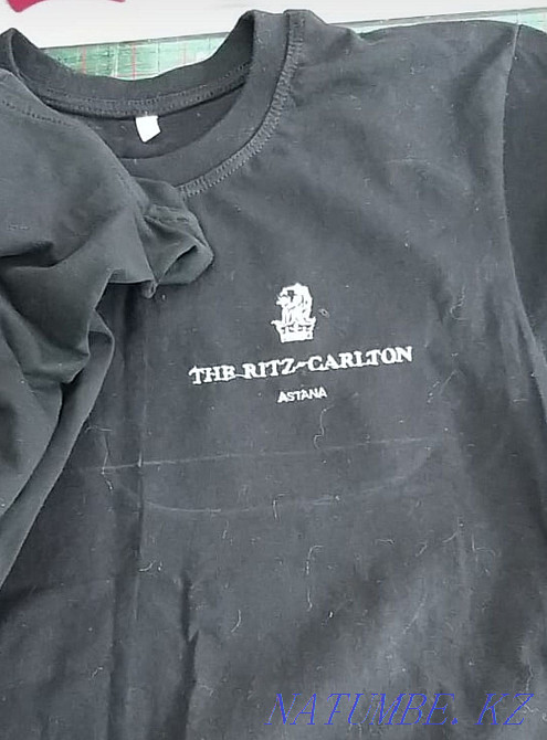 Машинная вышивка, логотипы, шевроны и аппликации Астана - изображение 7