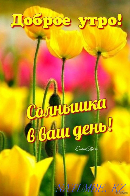 Sewing textiles for the home Алгабас - photo 1