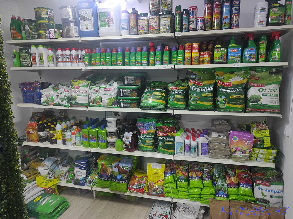 Семена, Удобрение, Защита растении, Газон, Садовый инвентарь Астана - изображение 2