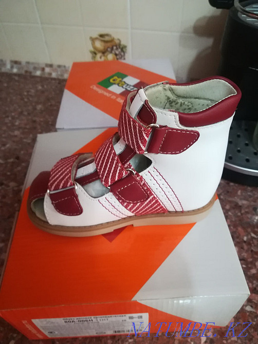 Ортопедическая обувь Петропавловск - изображение 1