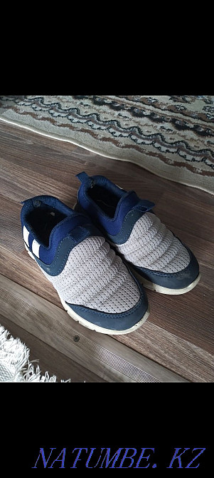 I will sell a krassovka Semey - photo 2