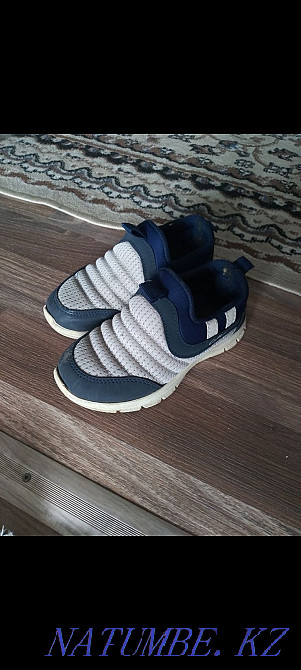 I will sell a krassovka Semey - photo 1