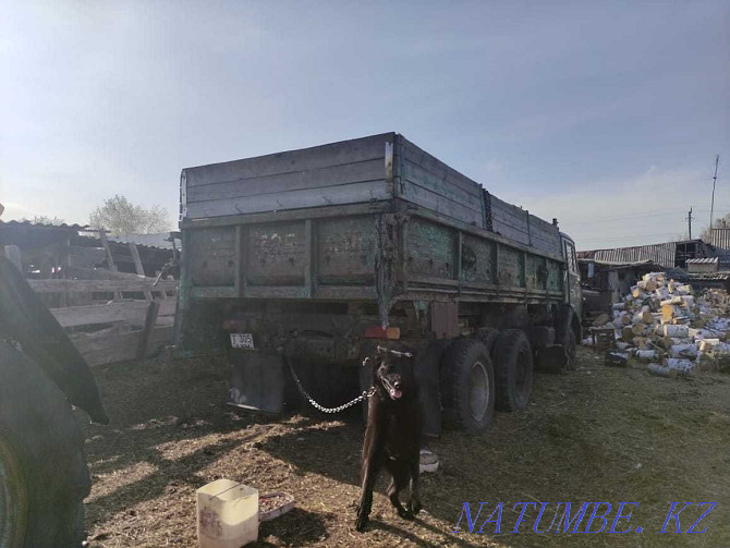 KAMAZ dump truck 10 tons Petropavlovsk - photo 3