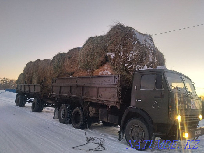 Камаз самосвал бо прицеп дар холати корн Экибастуз - photo 1